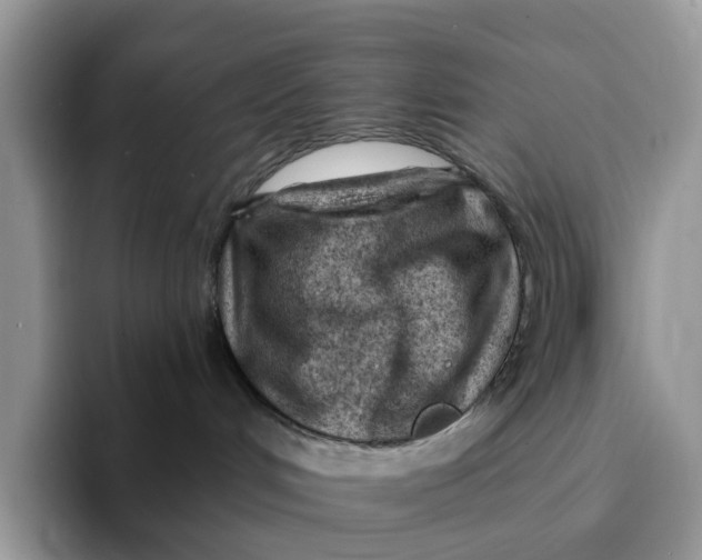 X0000093210048200710171349