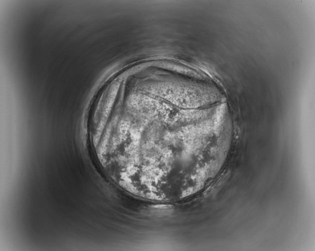 X0000093210053200710171348