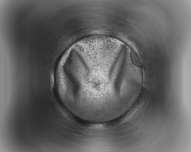 X0000093210061200710171348