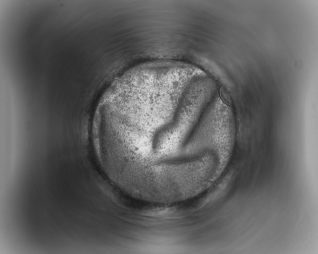 X0000093210065200710171349