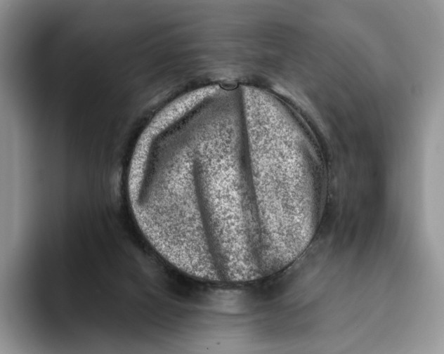 X0000093210066200710171349