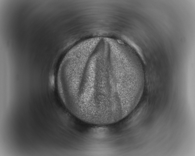 X0000093210067200710171349