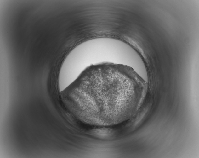 X0000093210069200710171349