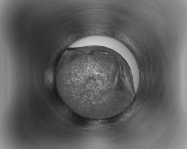 X0000093210072200710171349