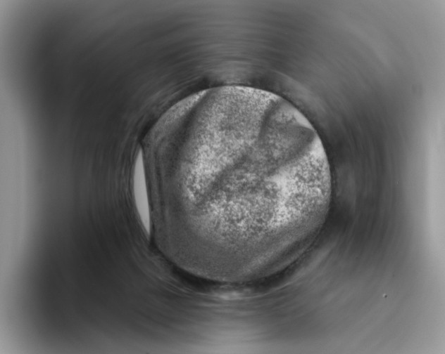 X0000093210073200710171349