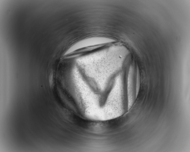 X0000093210074200710171349