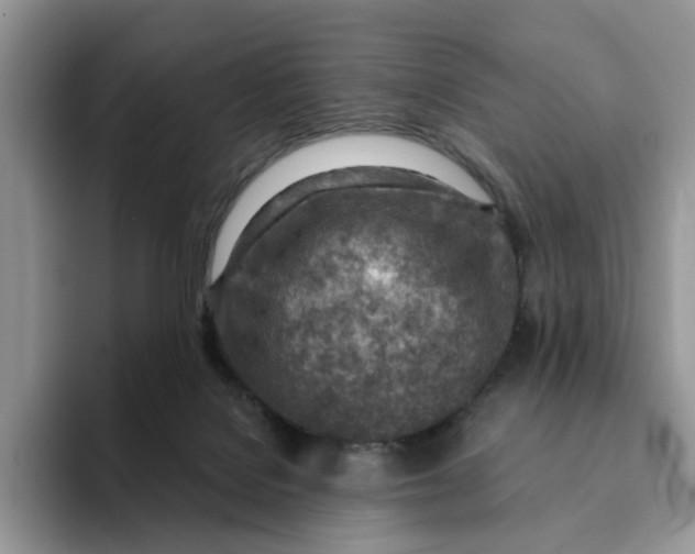 X0000093210076200710171349