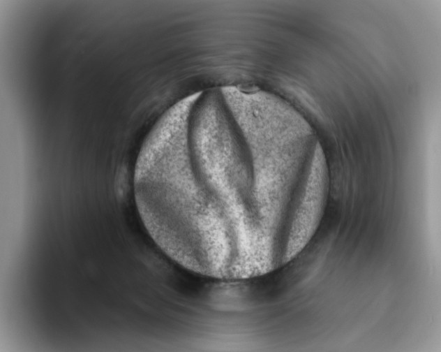 X0000093210077200710171349