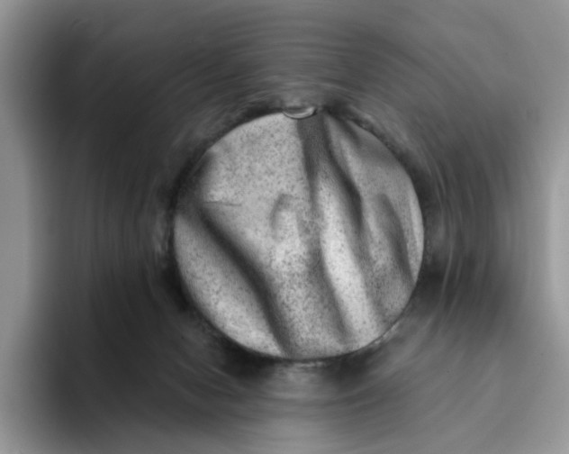 X0000093210078200710171349