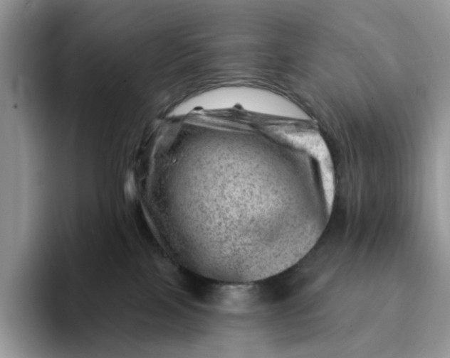 X0000093210089200710171349