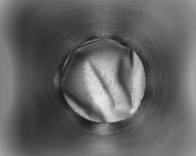 X0000093210090200710171349