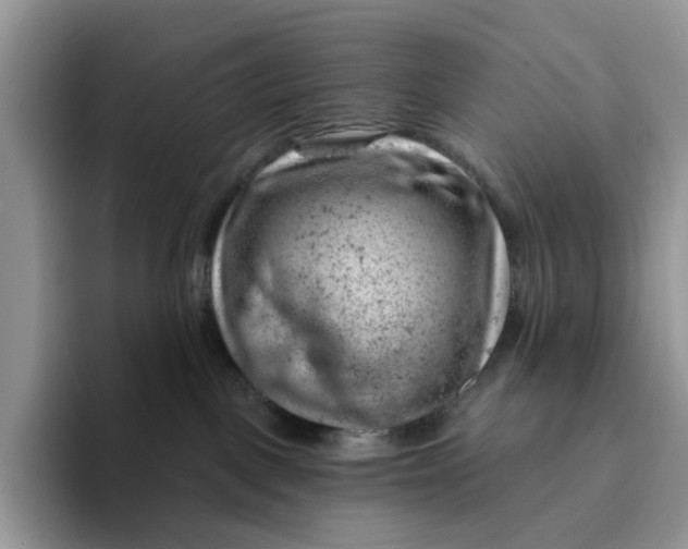 X0000093210093200710171349