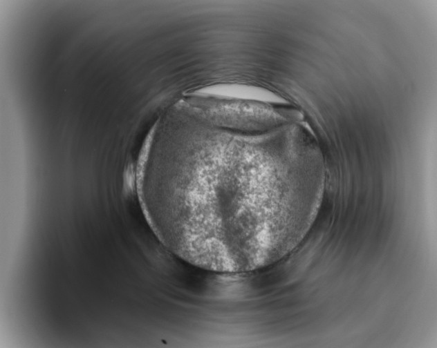 X0000093210095200710171349