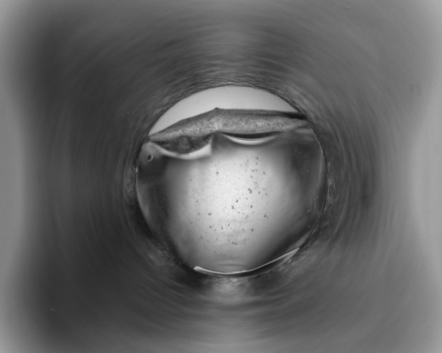 X0000093210096200710171349