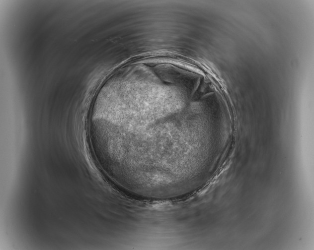 X0000093210097200710171348