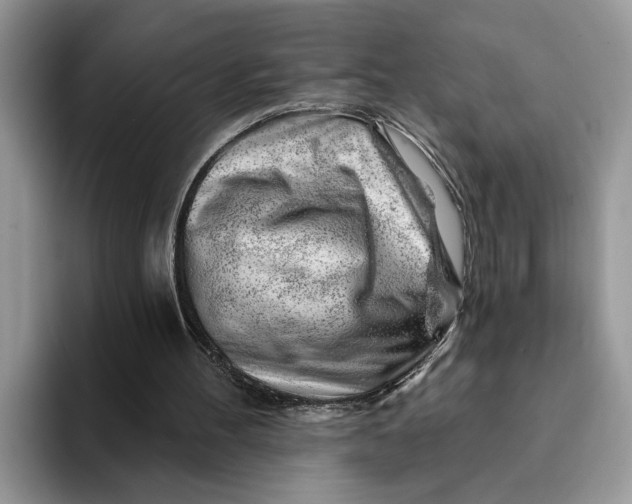 X0000093210100200710171348