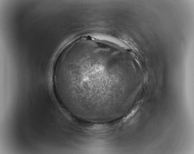 X0000093210101200710171348