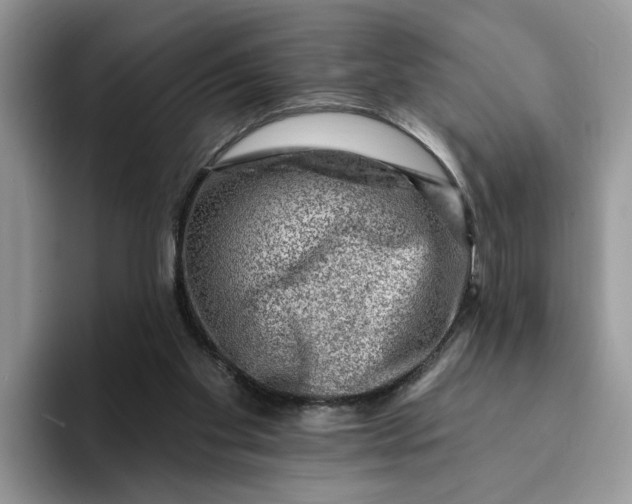 X0000093210109200710171348