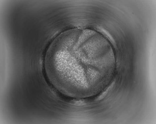 X0000093210113200710171348