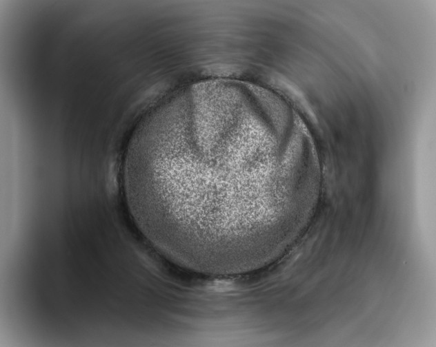 X0000093210114200710171348