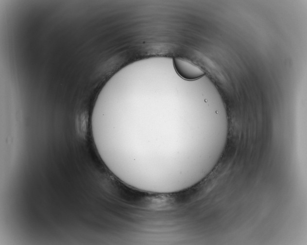 X0000093210118200710171348