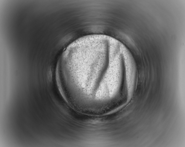 X0000093210120200710171348