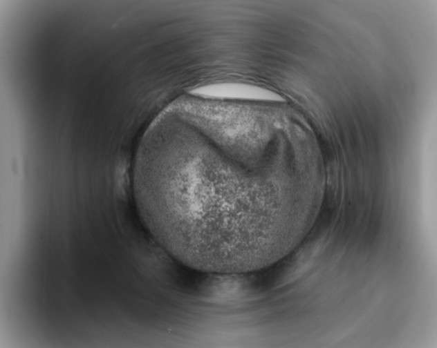 X0000093210127200710171348