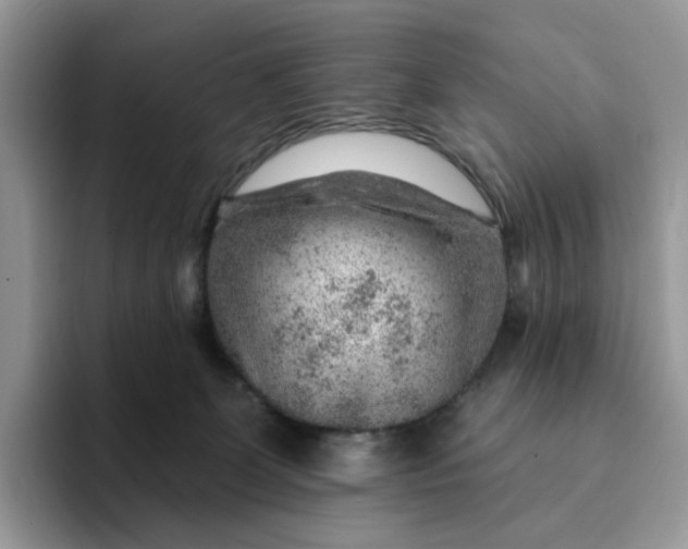 X0000093210131200710171348