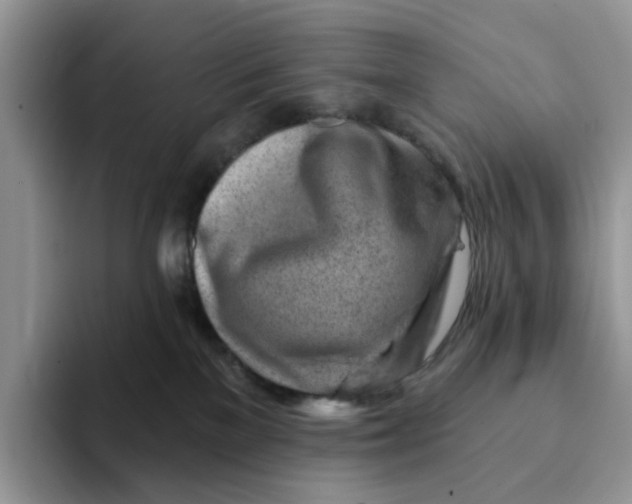 X0000093210137200710171348