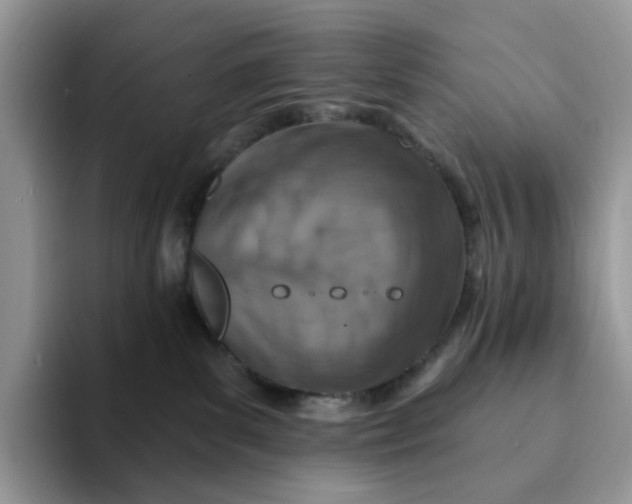 X0000093210139200710171348