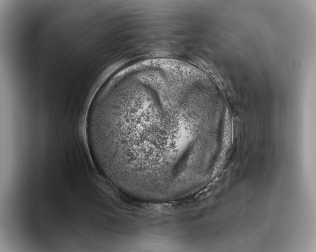 X0000093210147200710171347