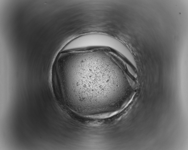 X0000093210148200710171347