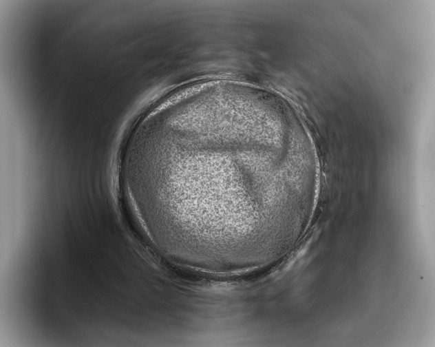 X0000093210149200710171347