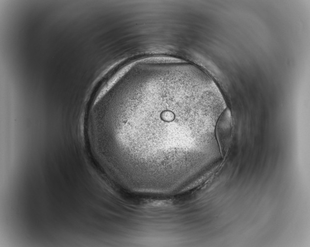 X0000093210155200710171347