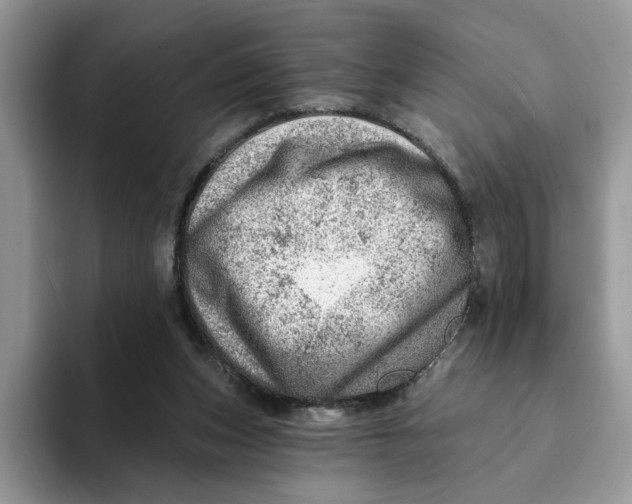 X0000093210159200710171347