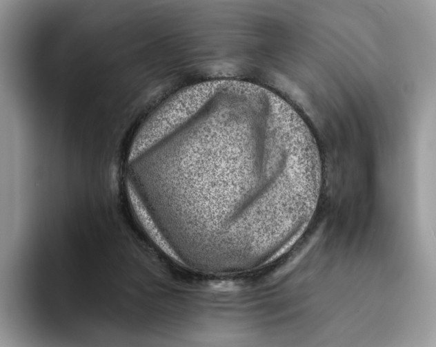 X0000093210161200710171347