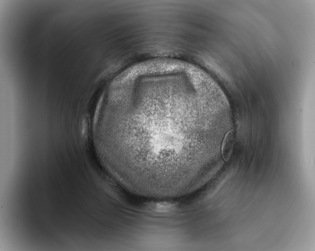 X0000093210165200710171347