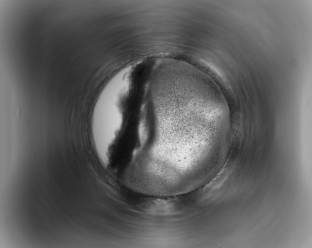 X0000093210166200710171347