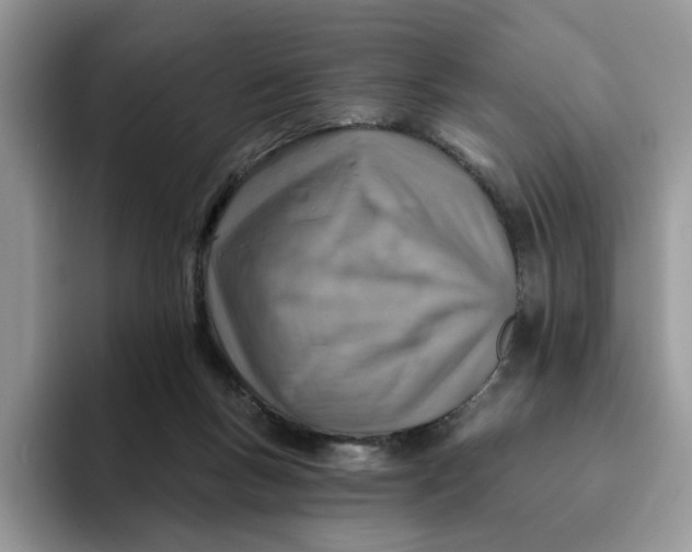 X0000093210167200710171347