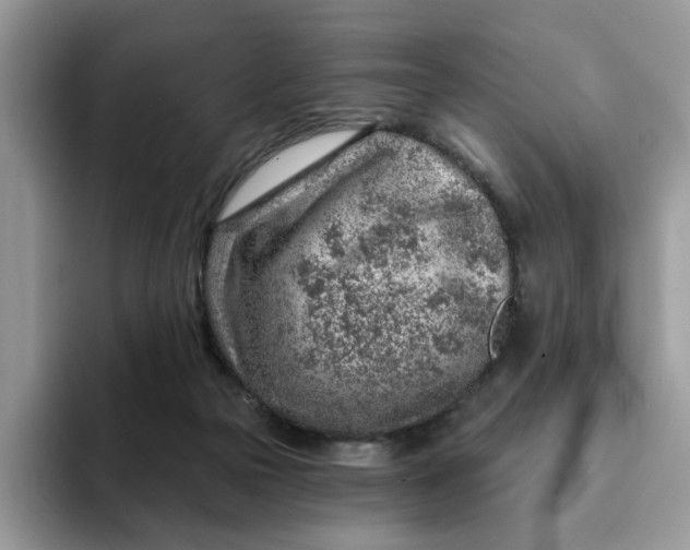 X0000093210169200710171347