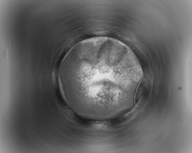 X0000093210175200710171348