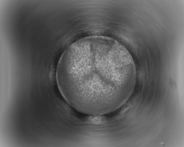 X0000093210181200710171348