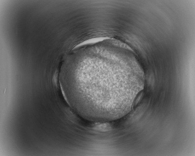 X0000093210185200710171348