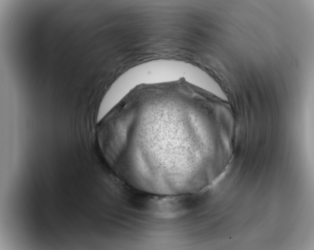 X0000093210186200710171348