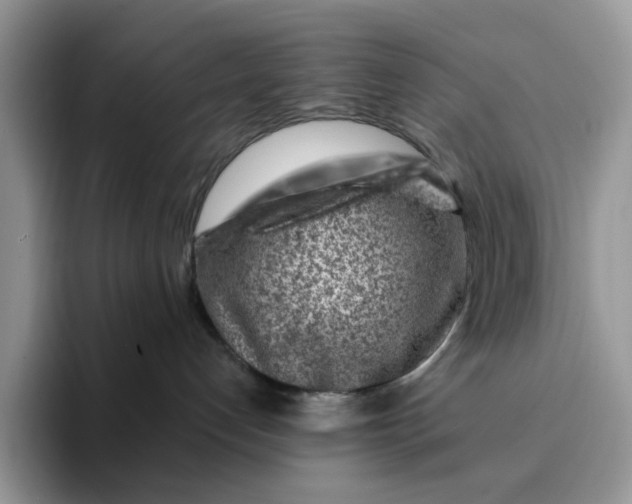 X0000093210192200710171348