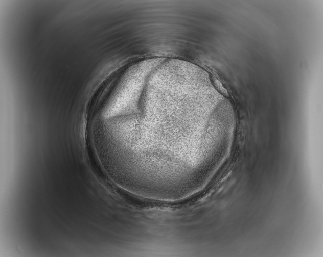 X0000093210194200710171347