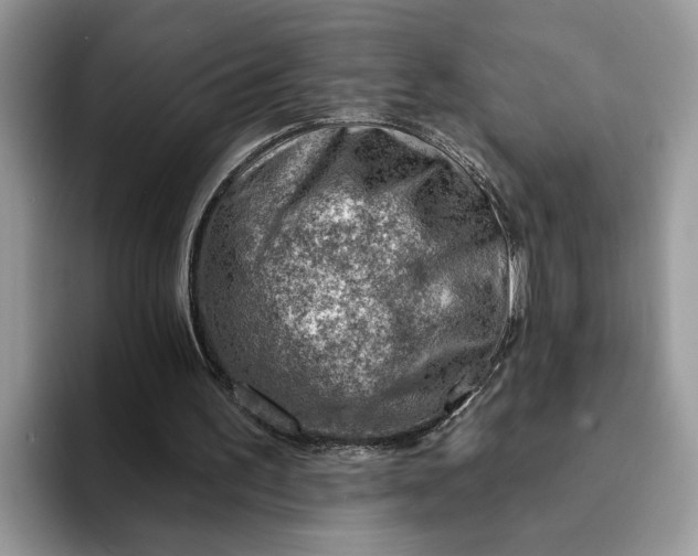 X0000093210195200710171347