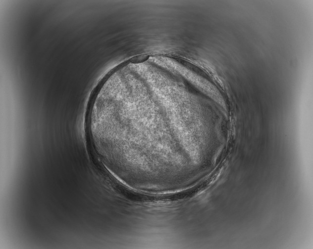 X0000093210196200710171347