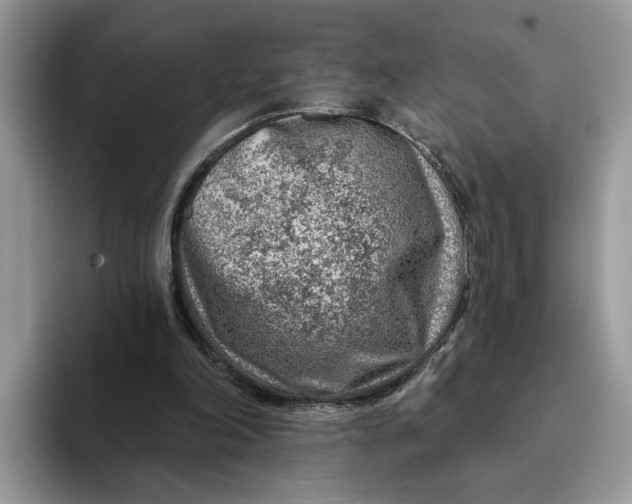 X0000093210198200710171347