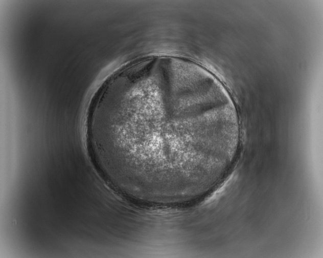 X0000093210199200710171347